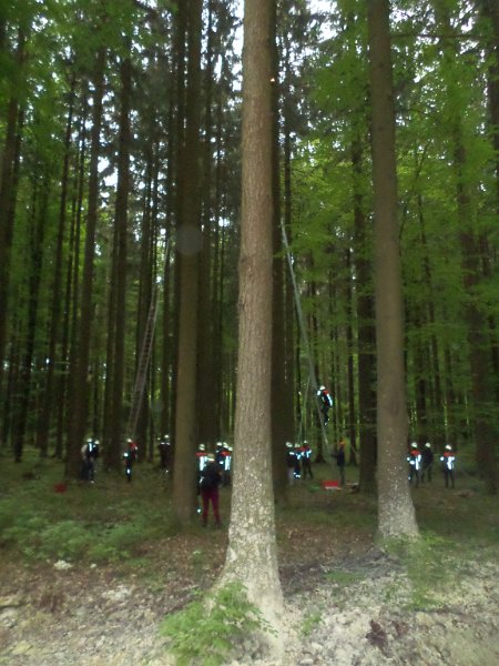 Maibaum_2018 (18)